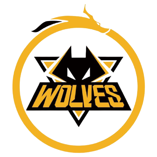 胜的选手不 胜的选手不