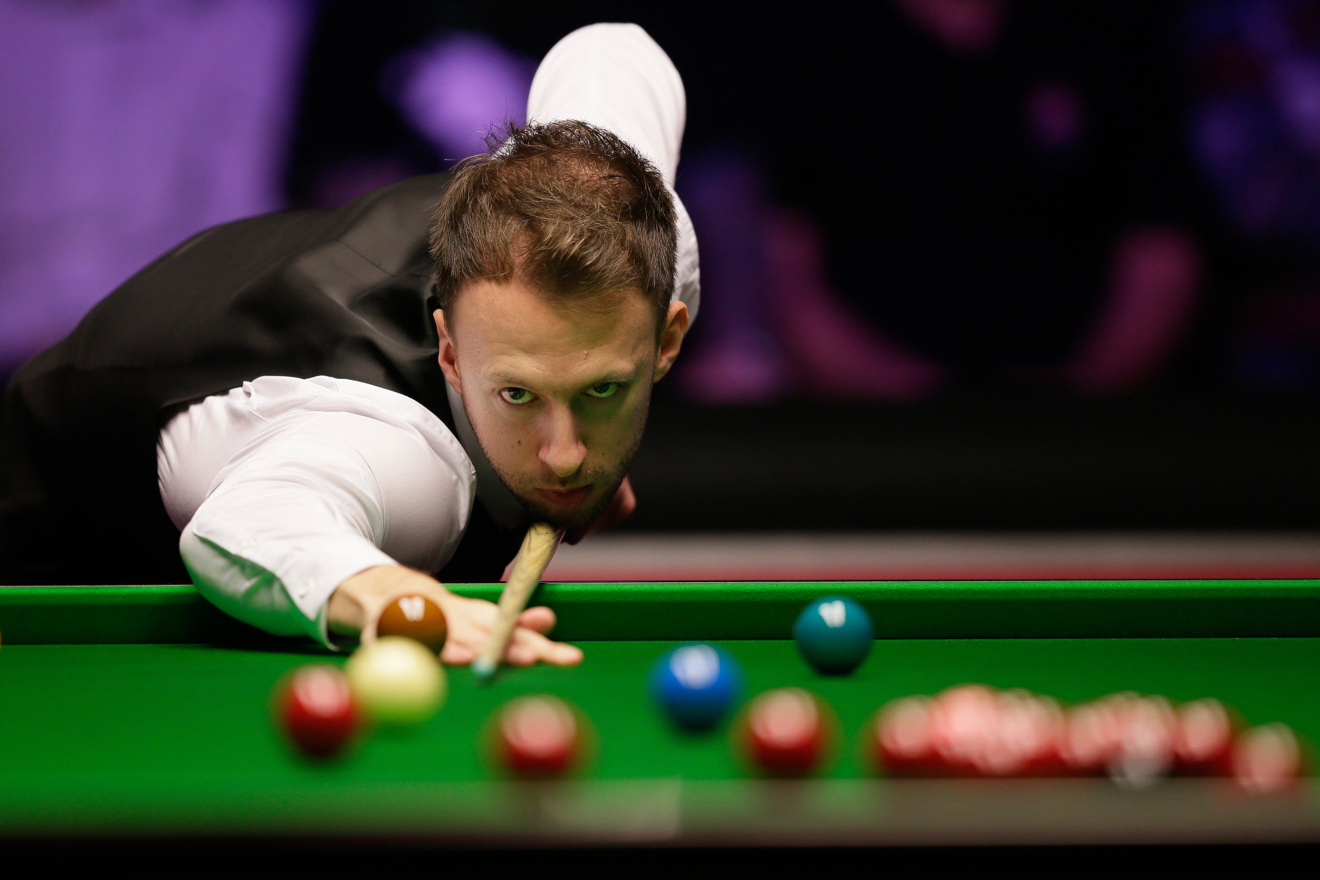 蜂在重建周 蜂在重建周